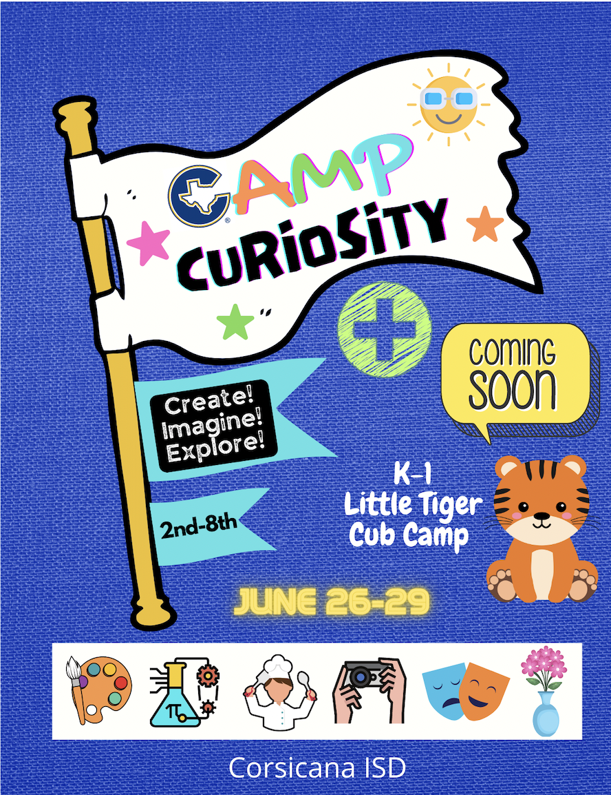 Camp Curiosity and Little Tiger Cub Camp
